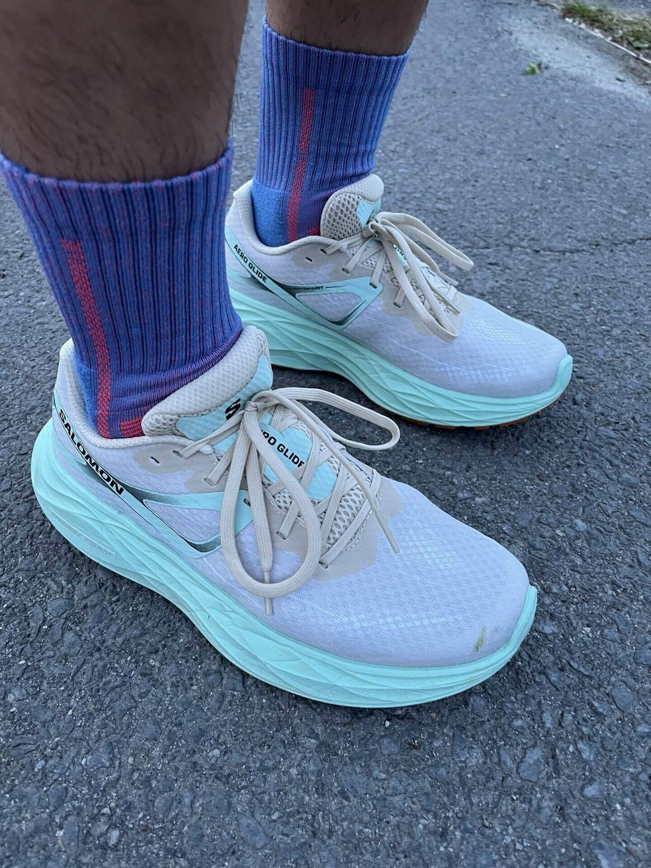 ★新品 サロモン エアロ グライド 27.5cm シューズ 靴 ランニング ラン ☆新品 サロモン エアロ グライド 27.5cm シューズ 靴 ランニング ラン