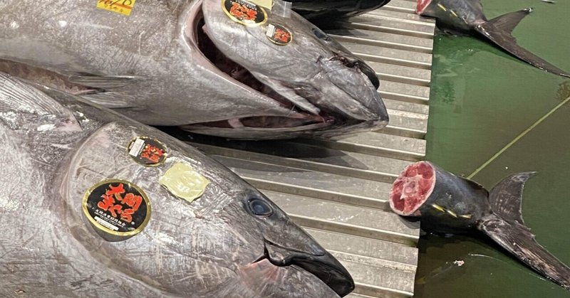 謎解き「大間まぐろ」④漁業法違反の出荷業者は川崎北部市場にも出荷していた！
