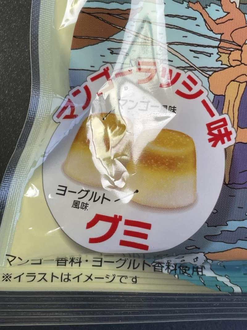 地球の歩き方グミ インド編|福田博之