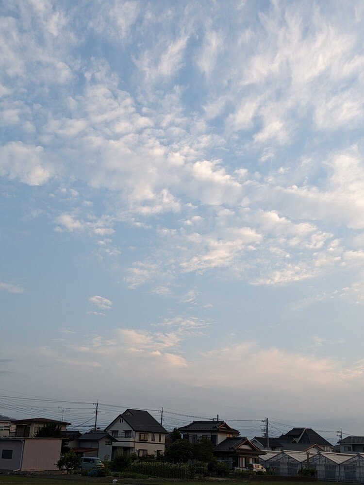 今朝、午前5時頃の青空です。薄い雲が流れていましたが、良い天気の予感がしていました。