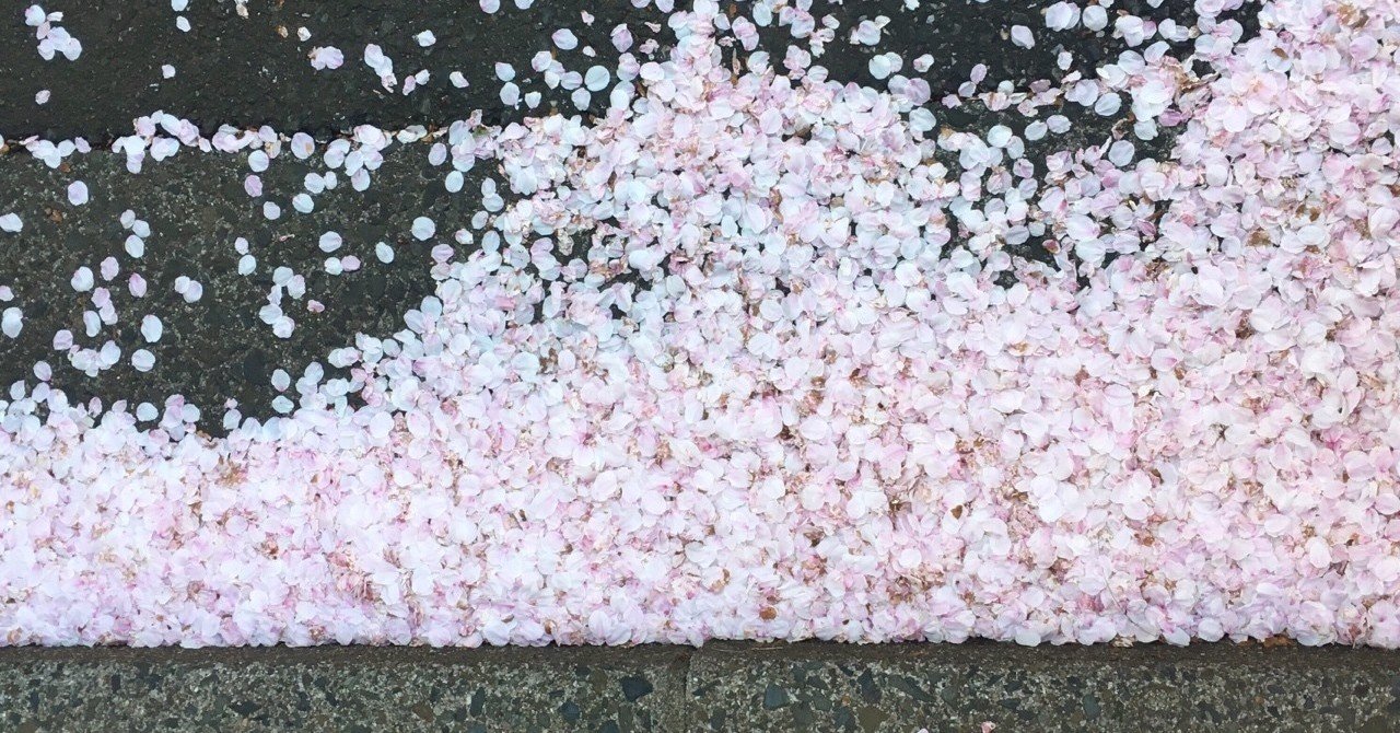 自分のために美しいものを集める もるちか Note 自分のために美しいものを集める もるちか Note