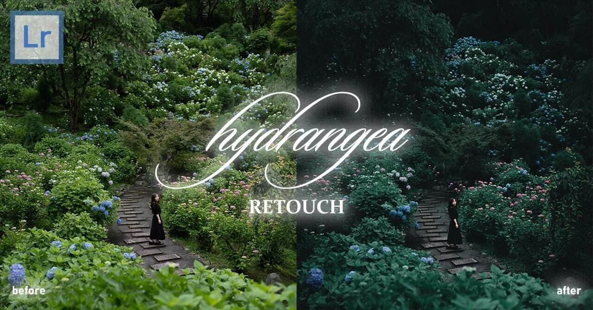 ダークな雰囲気の広角紫陽花ポートレートレタッチ（Lightroom CC