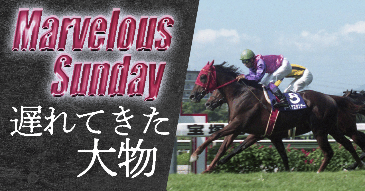 マーベラスサンデー　武豊　宝塚記念　 競走馬パネル　スポーツ新聞付き マベちん実装！マーベラスサンデーの連勝・挫折・悲願を「東スポ」で