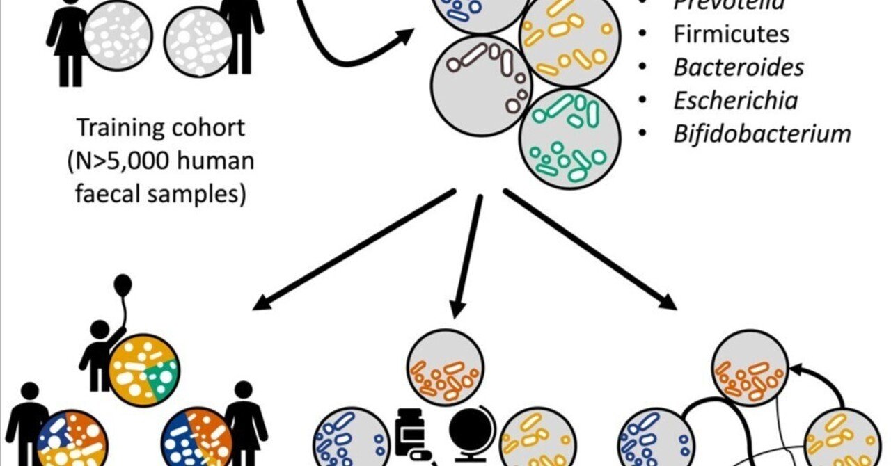 ヒトの腸内細菌叢に共通する細菌ギルドを定義するエンテロシグネチャー｜ヤオナ
