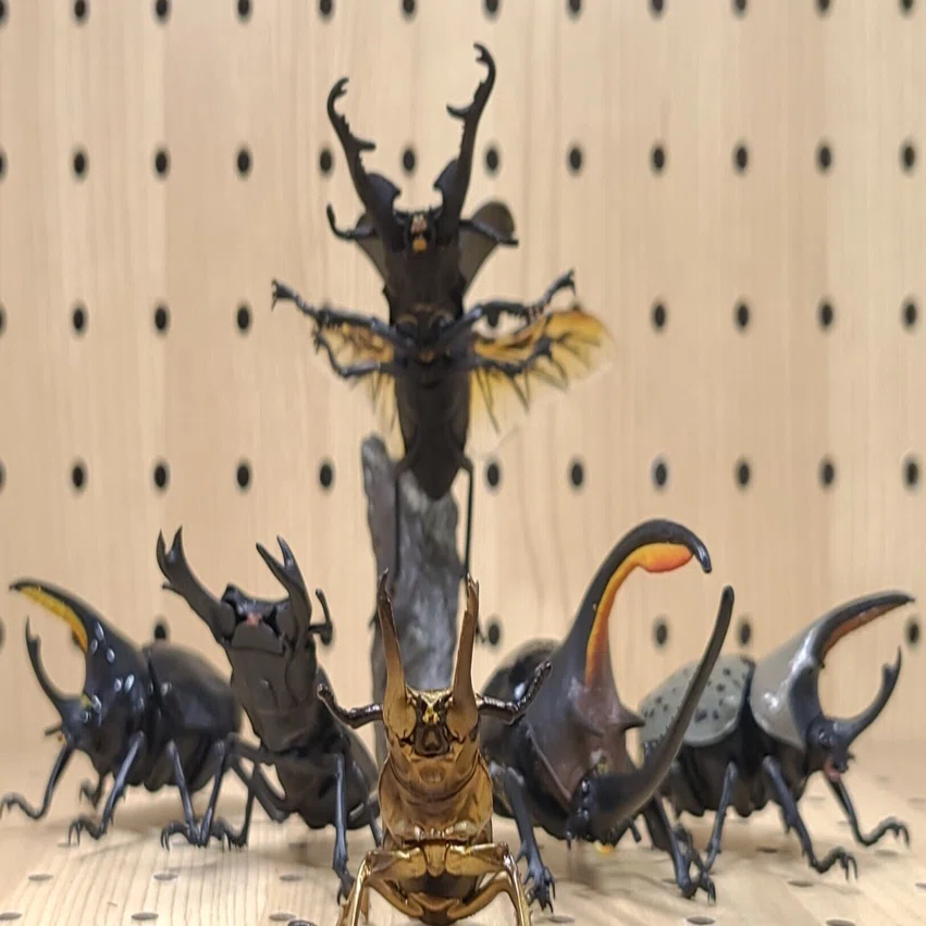 虫の王出品 Exhibition 2026: MIYAKE Akiyoshi 三宅章介 | KG+