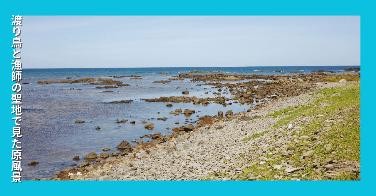 舳倉島　パンフレット　島カード　使用済み乗船券　石川県　輪島 舳倉島パンフレット島カード使用済み乗船券石川県輪島