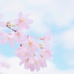 連載 初見良昭「人生、無刀捕 」 第十回「初見先生の死生観」｜コ2