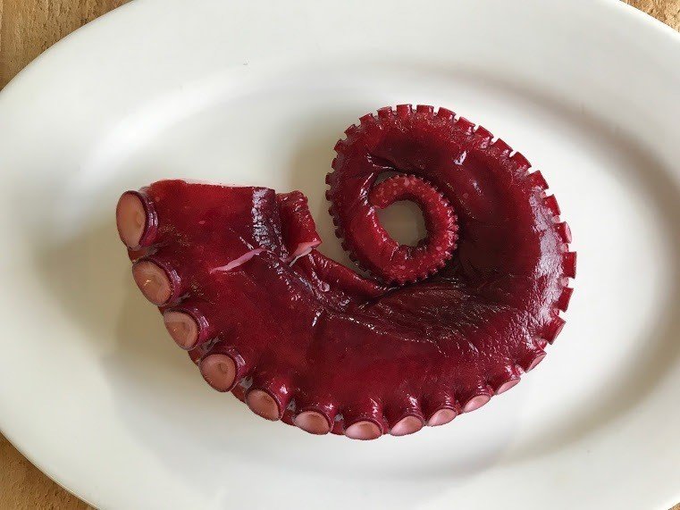 宇宙人とチャーハン餃子ネギまみれ じろまるいずみ Note