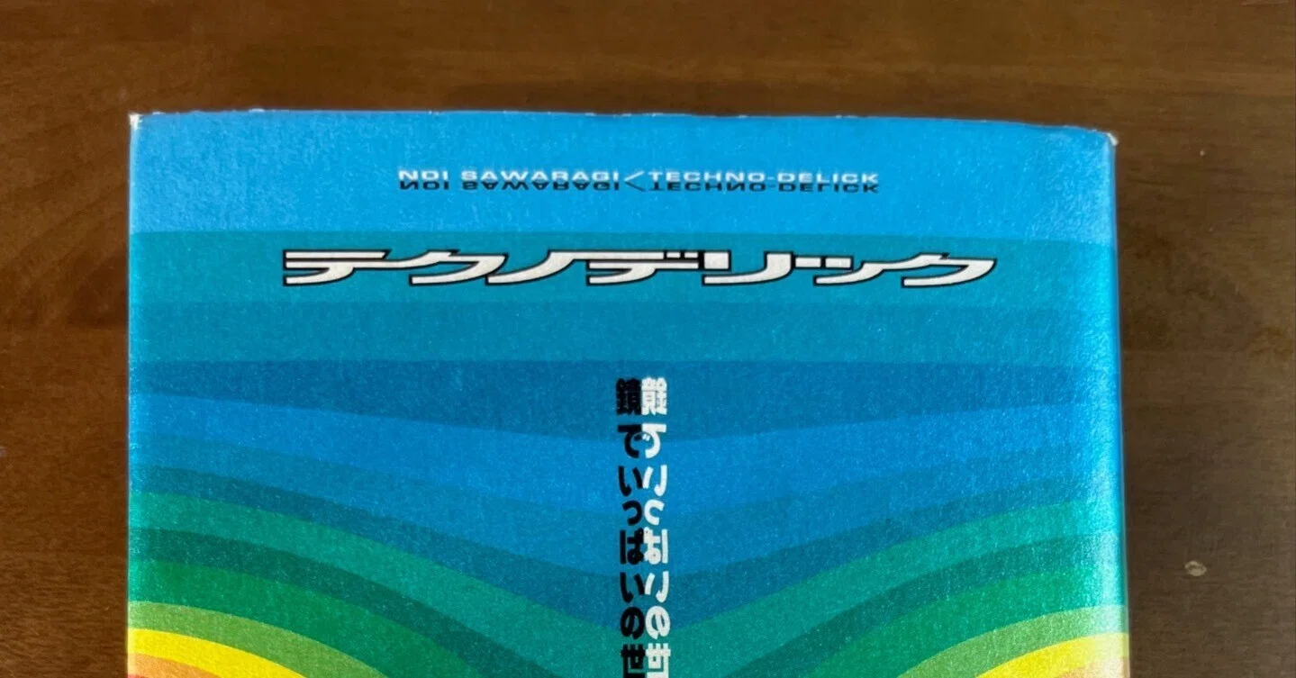 テクノデリック―鏡でいっぱいの世界 読書感想文〉 『テクノデリック—鏡でいっぱいの世界』 椹木野衣 集英社