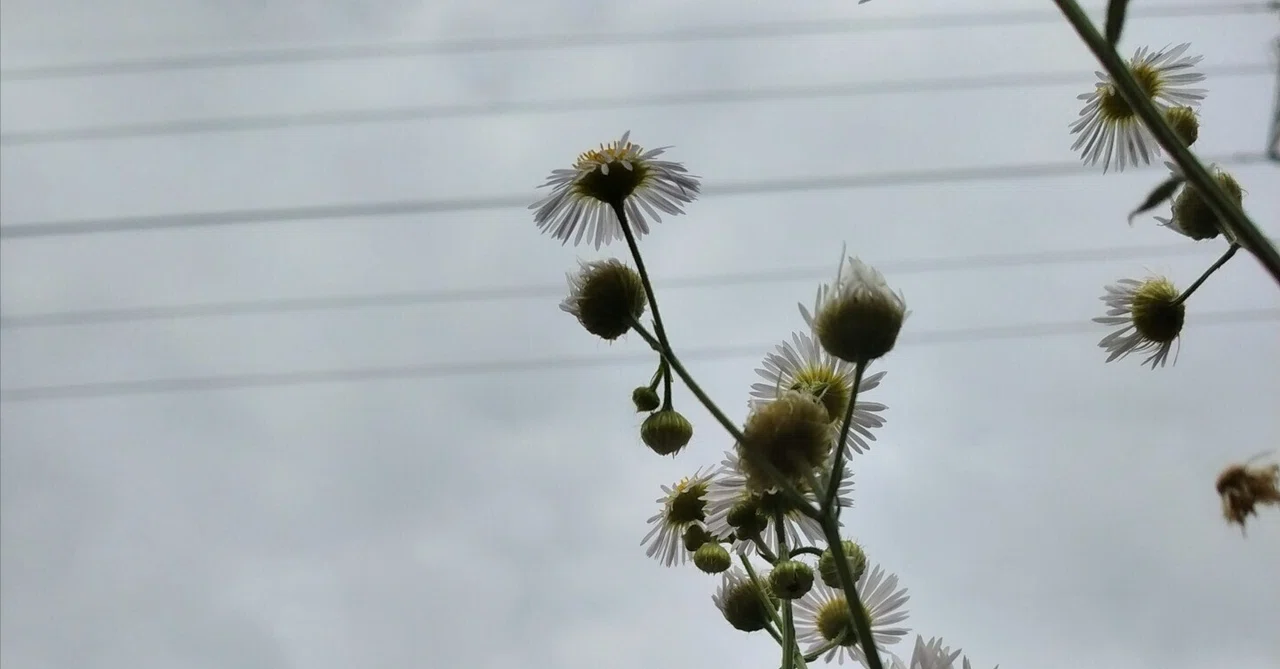 Round and round, may the circle of praising oneself take root.｜森谷はち🐝里母 ...