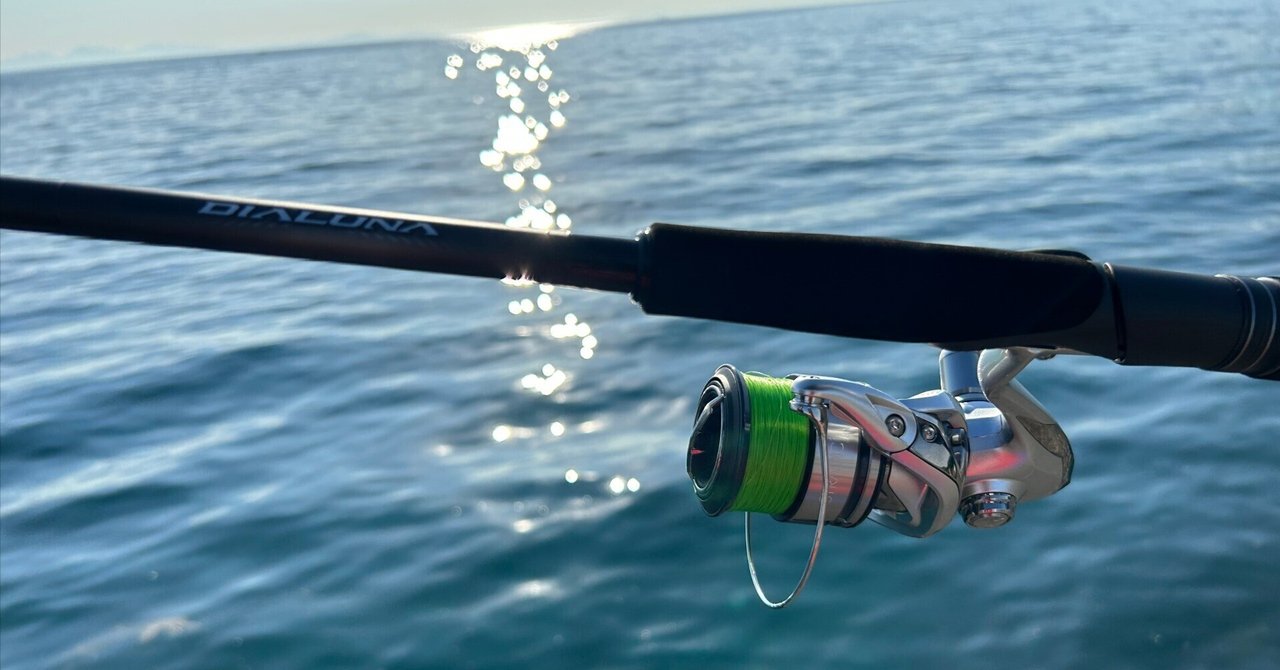 SHIMANO 18 ディアルーナ S96ML シーバスロッド美品 SHIMANO 18 ディアルーナ S96ML シーバスロッド美品