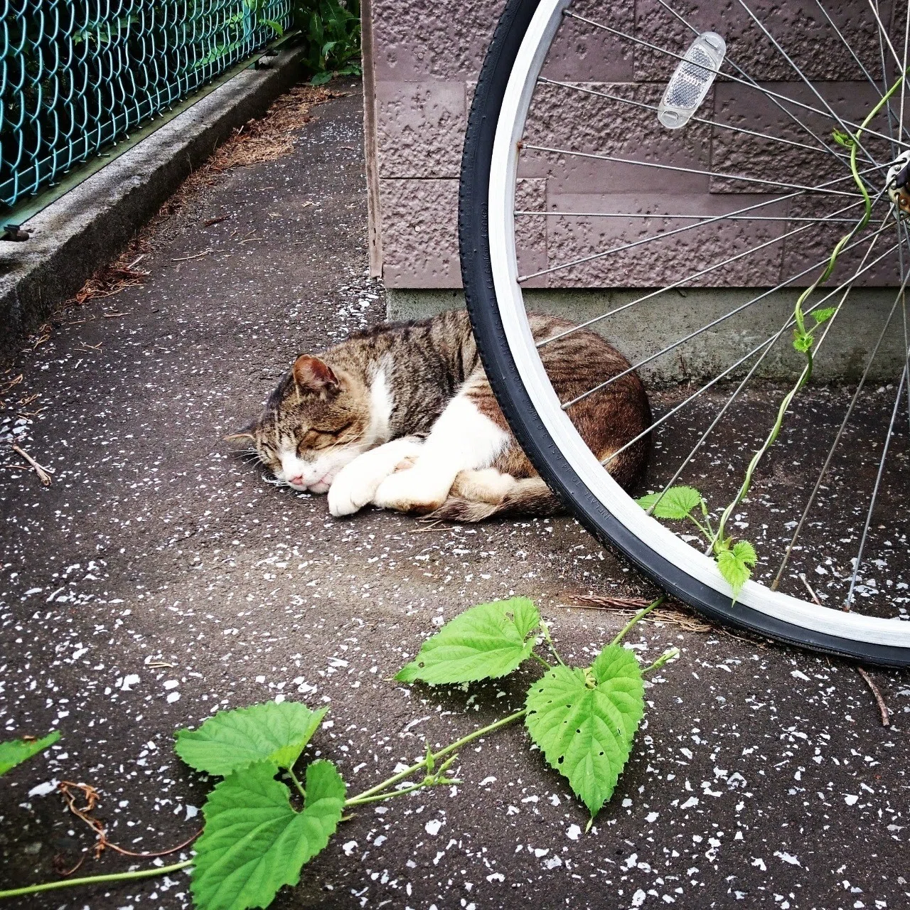 コンビニレンタル自転車の返却予約機能は必須だと思った|ハタモト|note