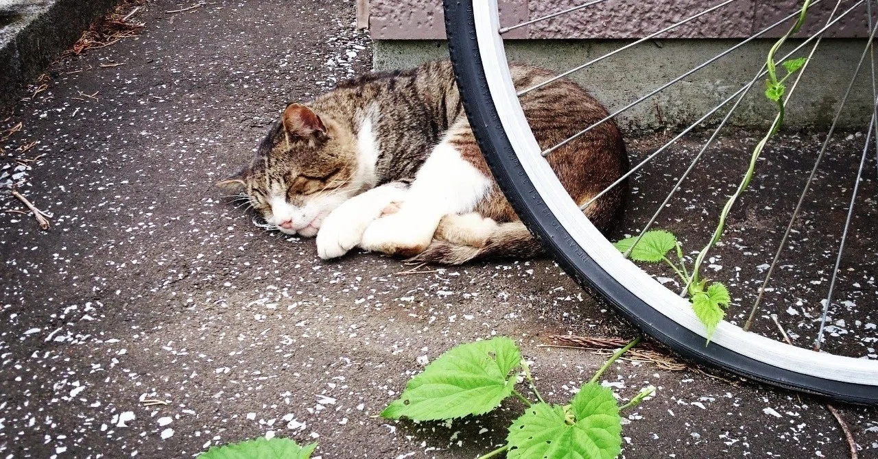 コンビニレンタル自転車の返却予約機能は必須だと思った|ハタモト|note