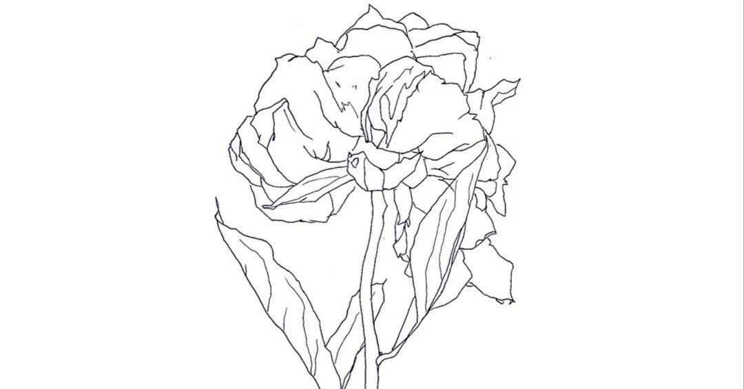 毎日15分デッサンをしている日々のこと｜渋澤怜✍️🐈🎨🪕🇻🇳