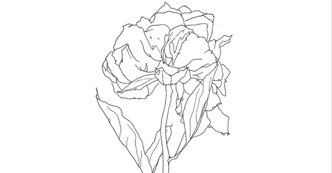 毎日15分デッサンをしている日々のこと｜渋澤怜✍️🐈🎨🪕🇻🇳