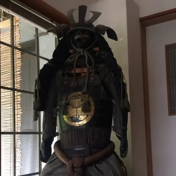 tokugawahoumu