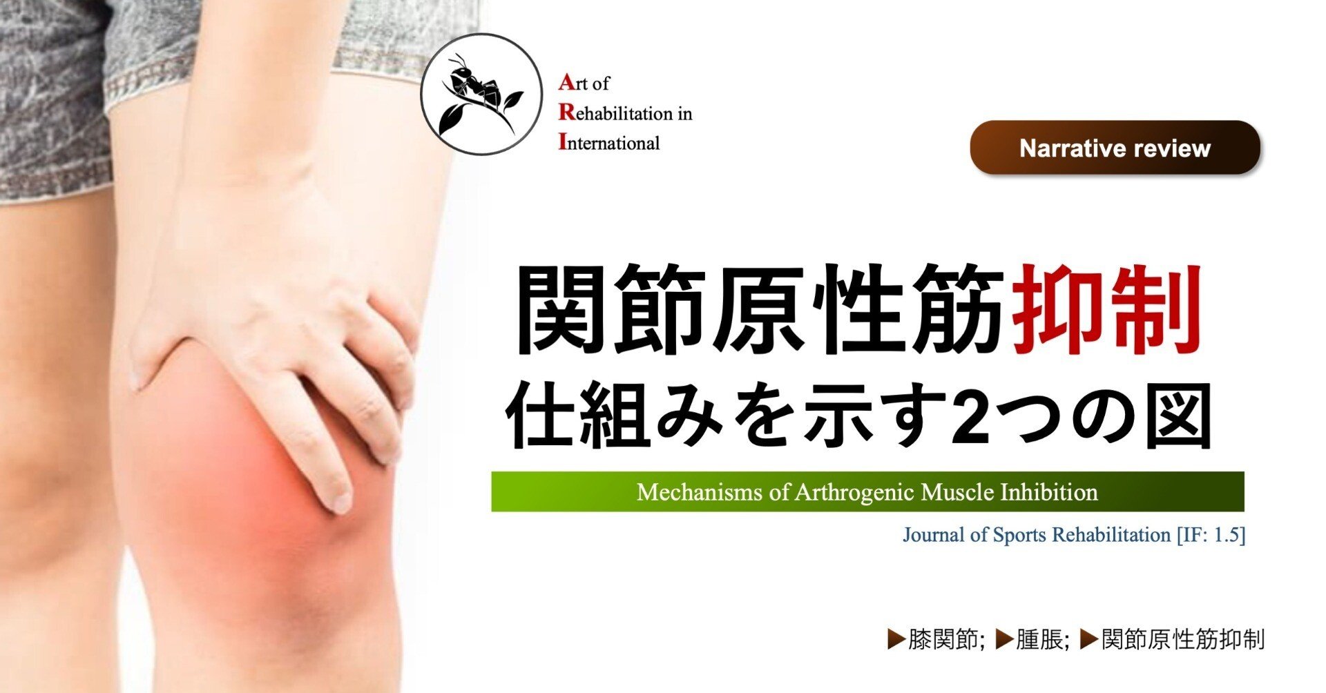 筋肉反射応用治療学 筋肉反射応用治療学 (大型本) 伊東 聖鎬 (著)