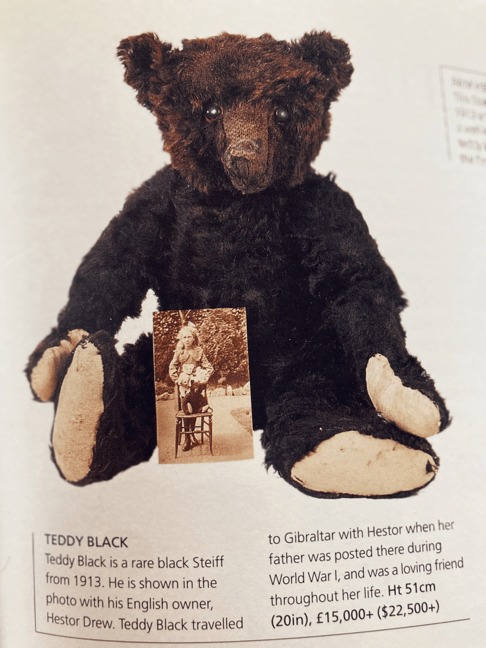 ブラックベア」☆ タイタニック・Commorative 682087 ブラックベア」☆ タイタニック・Commorative 682087