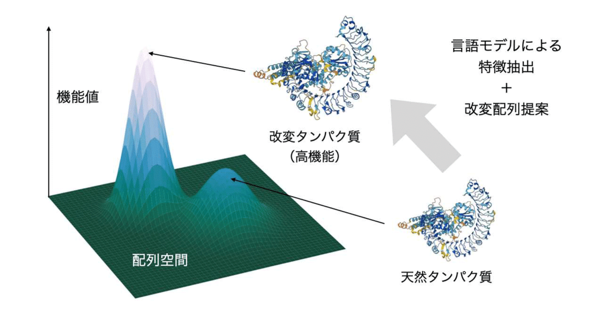 魅力的な価格 Design Sequence Data-efficient Based Language Protein on 洋書