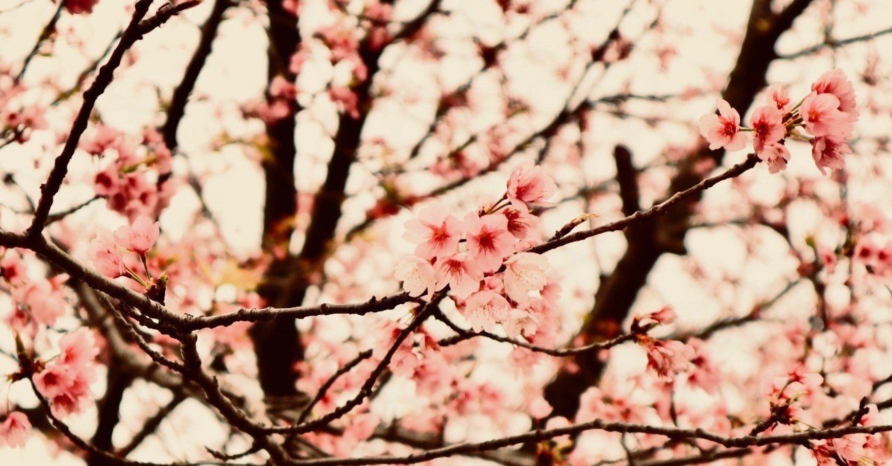 みんな早めに婦人科行こ 気がついたら卵巣嚢腫だった話 すずきせきこ Note みんな早めに婦人科行こ 気がついたら卵巣嚢腫だった話 すずきせきこ Note