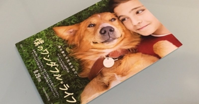 映画レビュー 僕のワンダフル ライフ 小山コウニ note