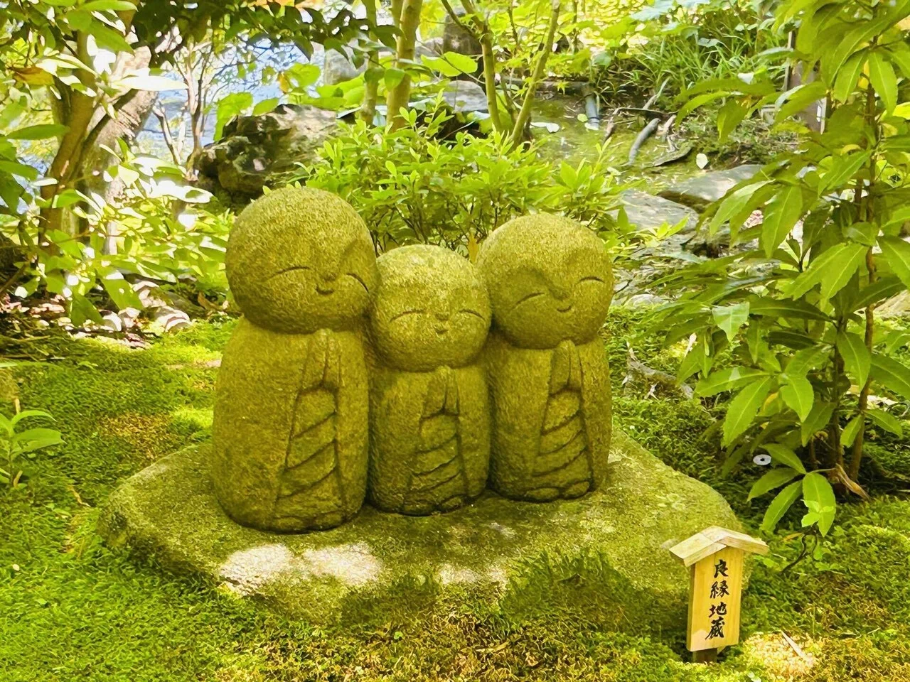 いざ鎌倉”｜Yayoi Fujikura