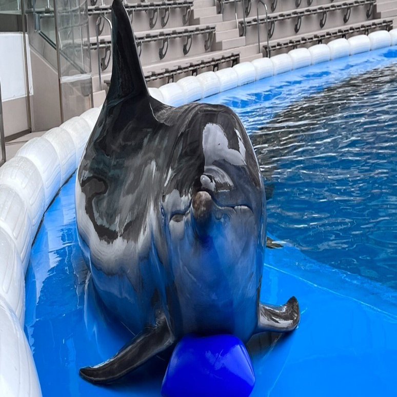イルカのおもちゃ｜仙台うみの杜水族館