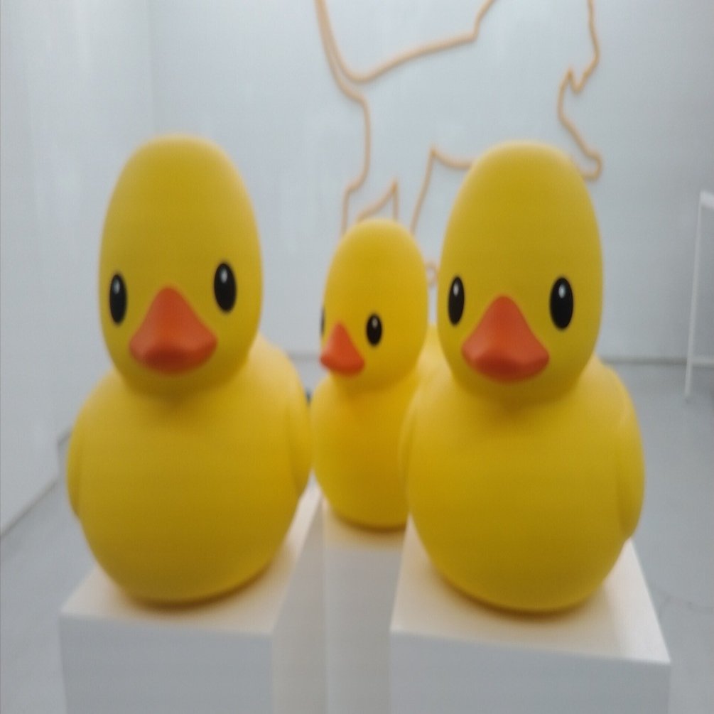 フロレンティン・ホフマン展More Yellow｜eneo