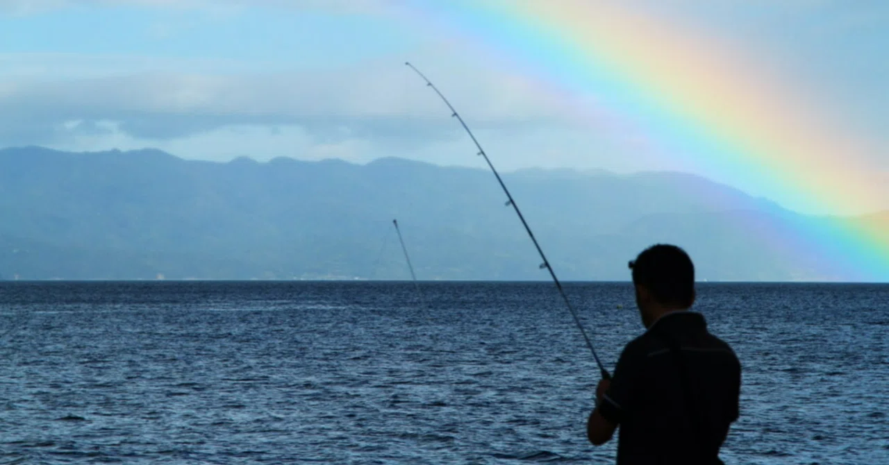 [Hobbies & Work] Super Skills Taught by Fishing That Are Useful for ...