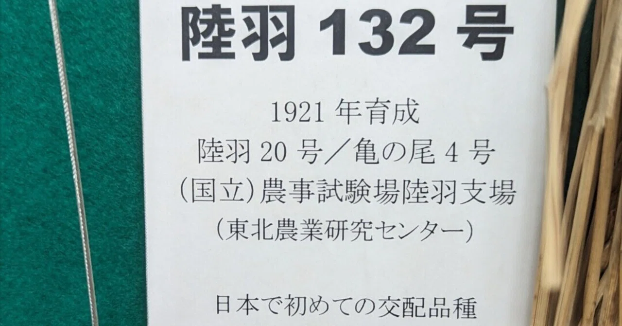 第24回 宮沢賢治と陸羽132号 ②｜黒曜石