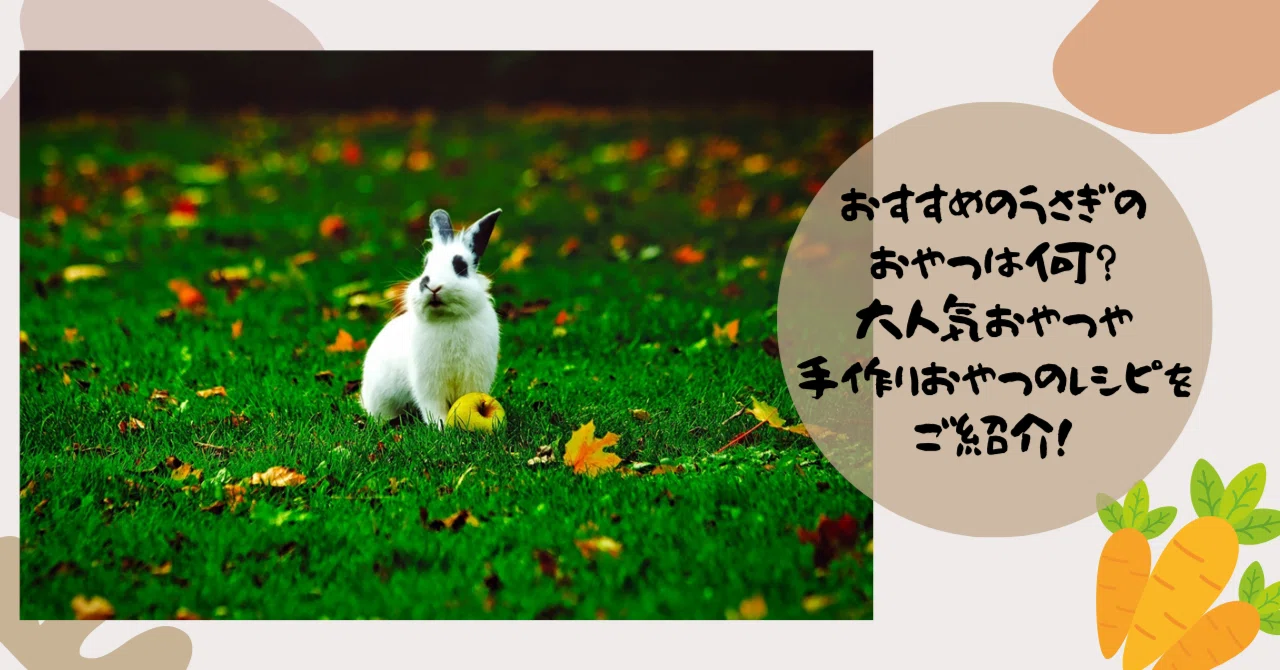 おすすめのうさぎのおやつは何？大人気おやつや手作りおやつのレシピを