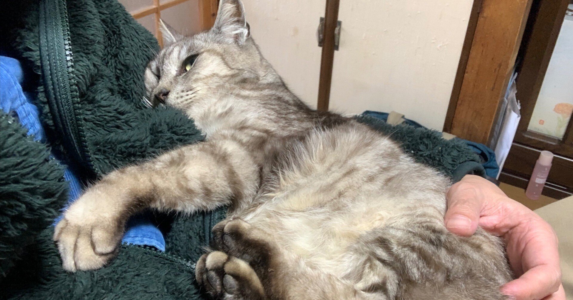 48 野良猫と飲む｜とみさわ昭仁