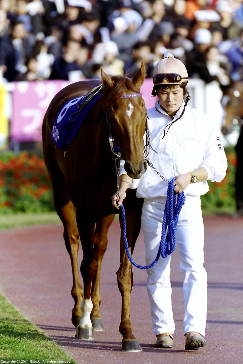 第20回JAPAN CUP:蔵出し写真 2000年⑧テイエムオペラオー|馬画 第20回JAPAN CUP:蔵出し写真 2000年⑧テイエムオペラオー|馬画