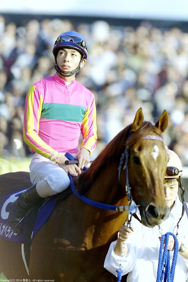 第20回JAPAN CUP:蔵出し写真 2000年⑧テイエムオペラオー|馬画 第20回JAPAN CUP:蔵出し写真 2000年⑧テイエムオペラオー|馬画