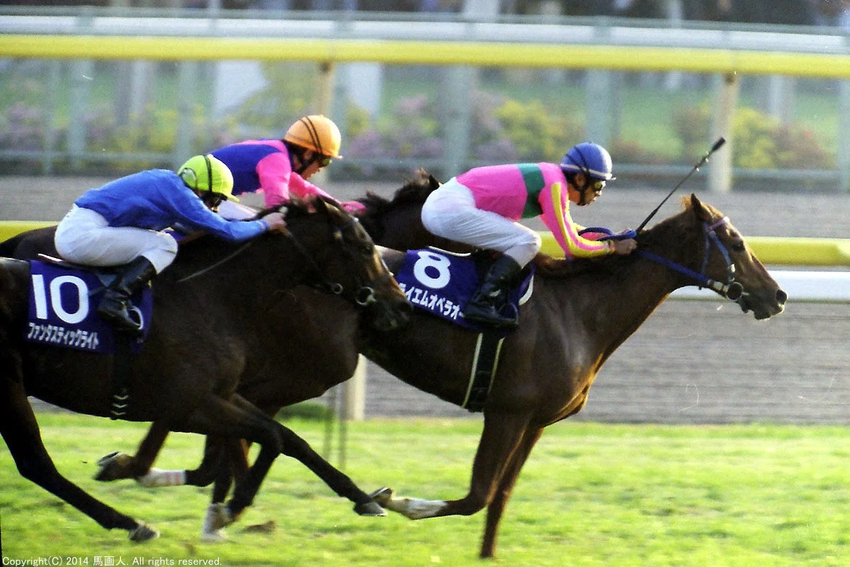 第20回JAPAN CUP：蔵出し写真 2000年⑧テイエムオペラオー｜馬画人 (ま 