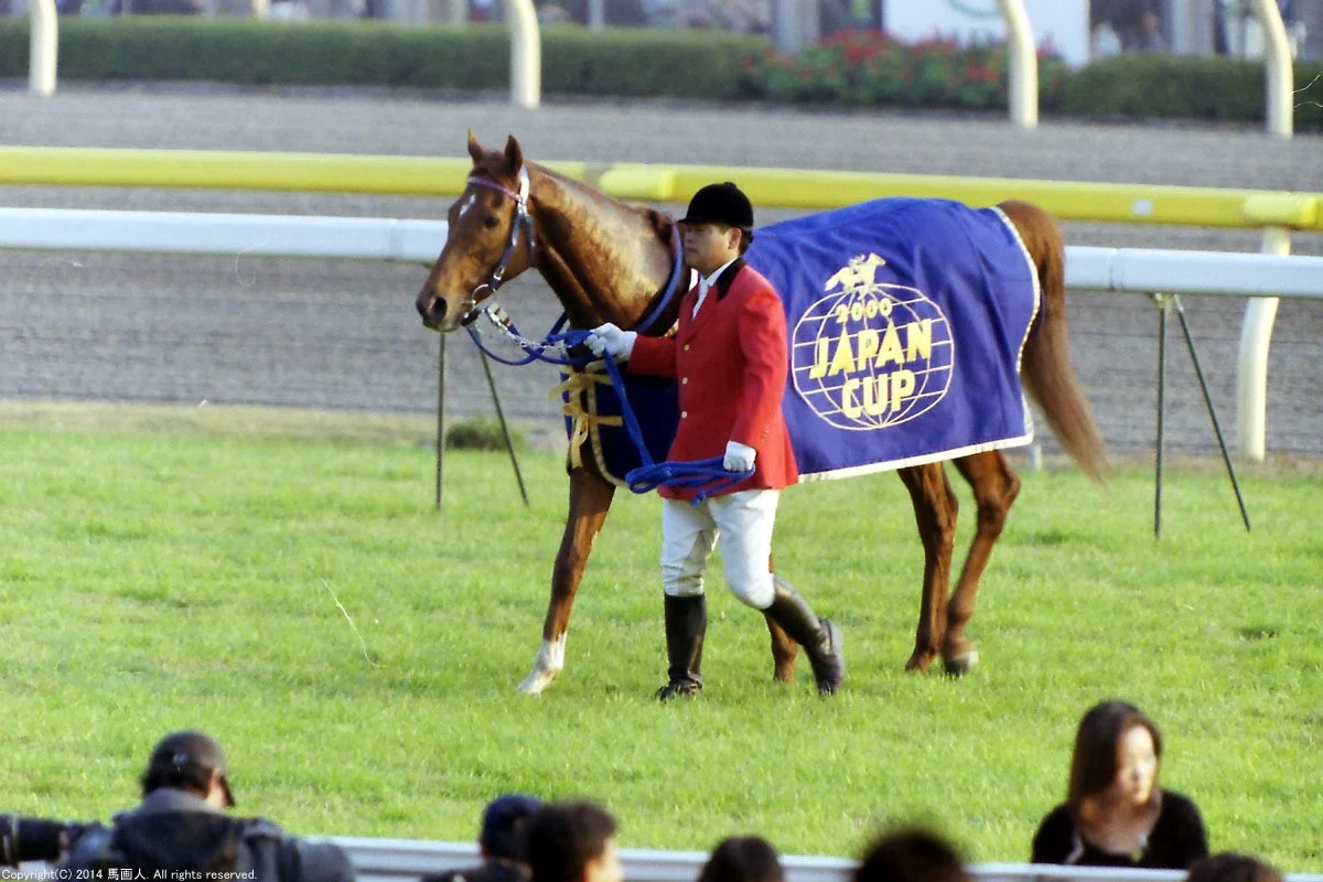 第20回JAPAN CUP：蔵出し写真 2000年⑧テイエムオペラオー｜馬画人 (ま 