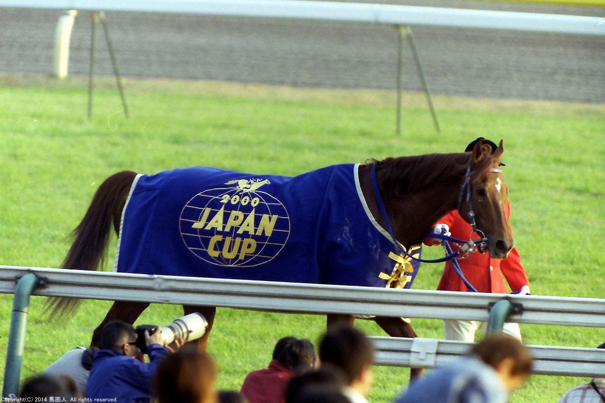 第20回JAPAN CUP：蔵出し写真 2000年⑧テイエムオペラオー｜馬画