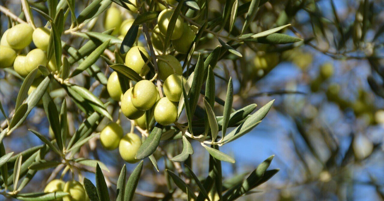 土づくり: 農作物の成長の土台