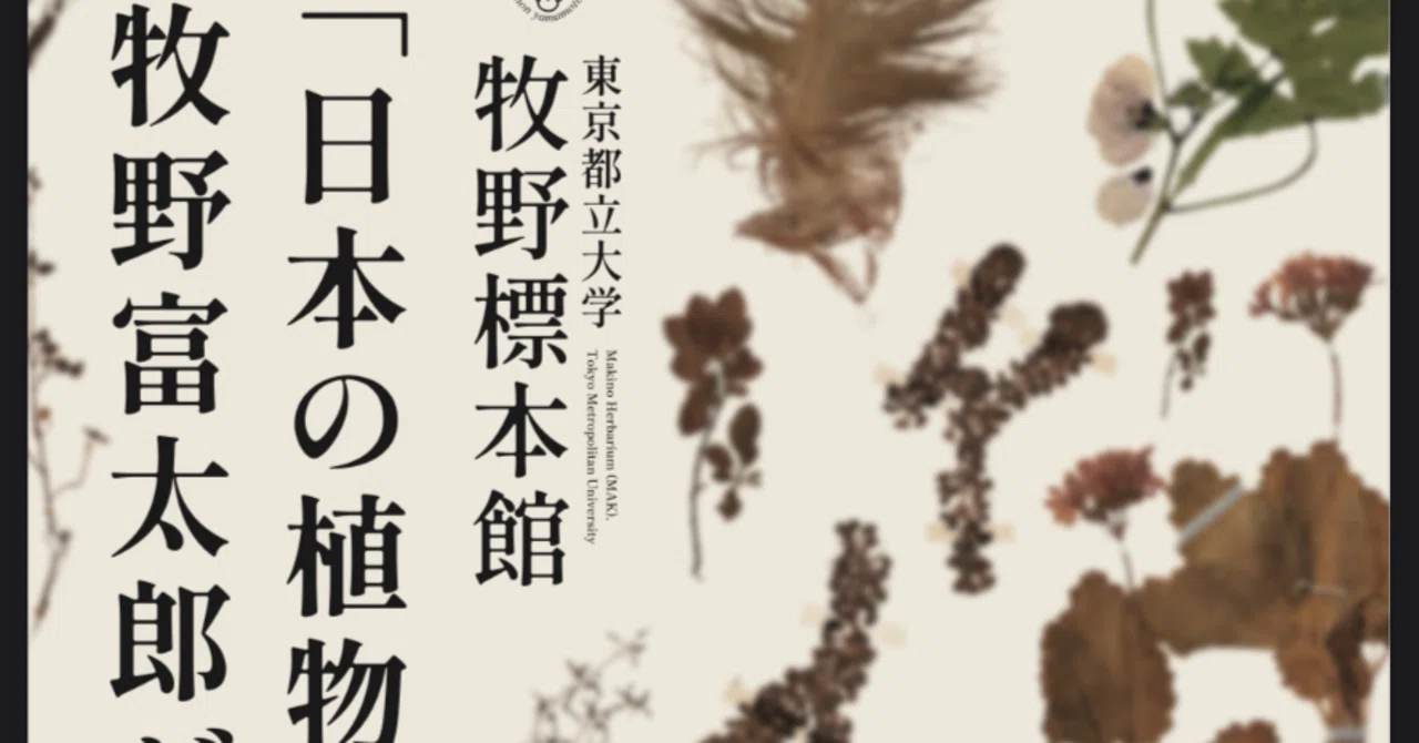 らんまん】都立大学で開催されている牧野富太郎展｜かわかわ