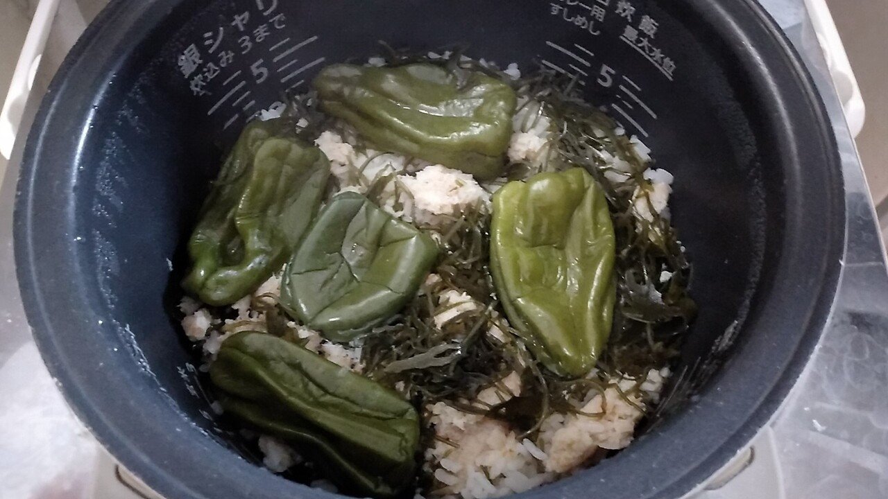 お爺さまが喜ぶのはわかってた。惠さんのピーマン幸年夏レシピを作っ