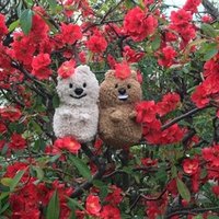 クオッカさんのぬいぐるみについてと 新しい屋号 ハタヤエリ Note