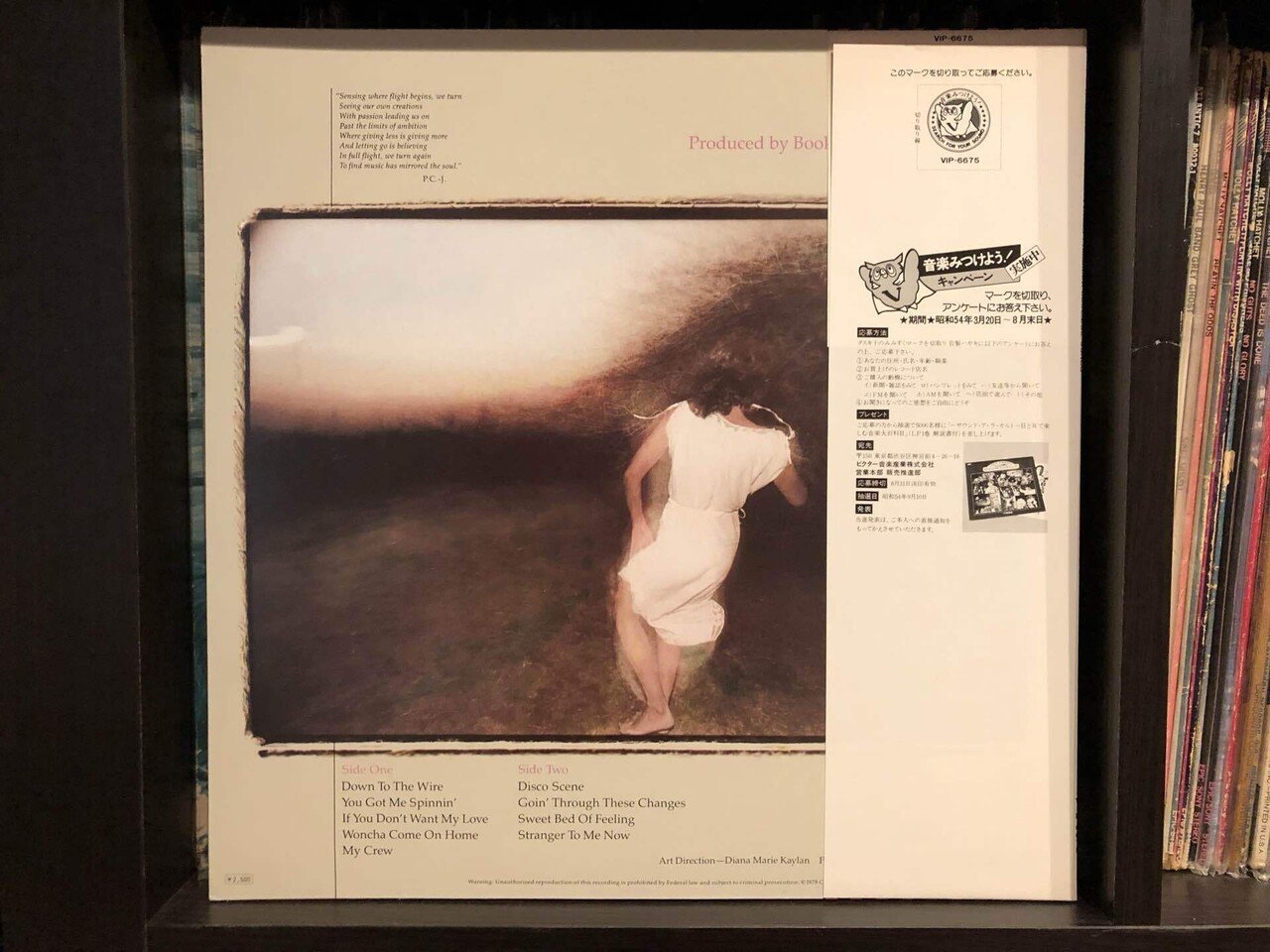 恋は万華鏡／プリシラ・クーリッジ ('79)｜Takeshi Tada