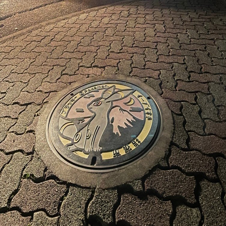 ポケふた@鹿児島県指宿市｜ブラッキー #2｜つよし