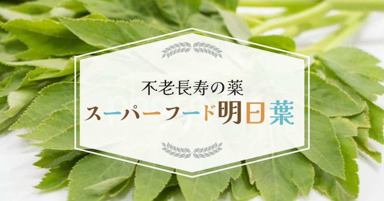 スーパーフード明日葉をみんなにもっと知ってほしい！｜あしたば加工工場