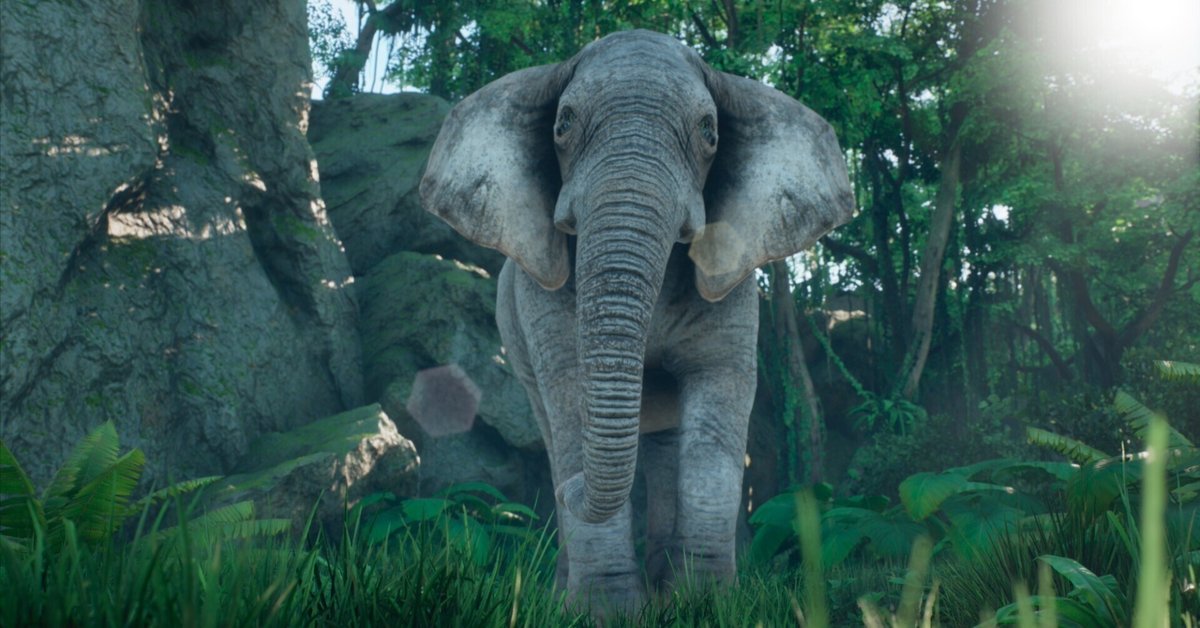 ゾウさん様 近畿地方で生活しているゾウさん｜現在住んでいるゾウさんたち