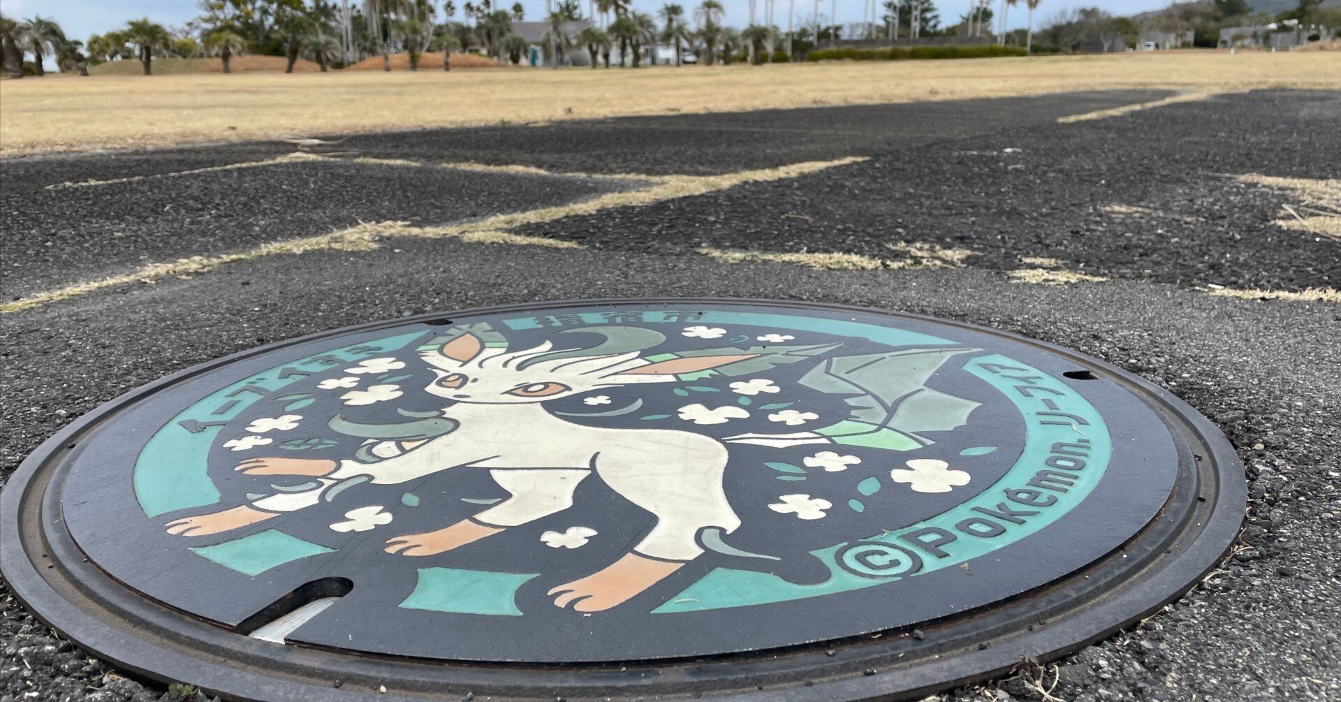 ポケモン ポケふた 鹿児島県 缶バッジ 8種セット ニンフィア リーフィア ポケモン ポケふた 鹿児島県 缶バッジ 8種セット ニンフィア