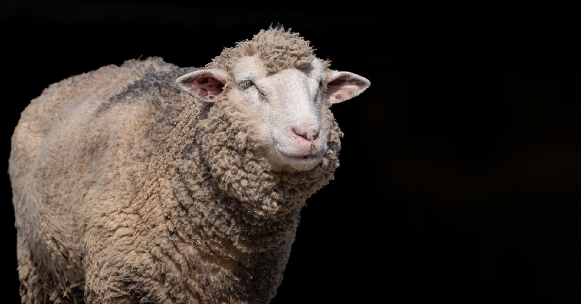 45a1fd6bef918ec4ecc195b06a3d28