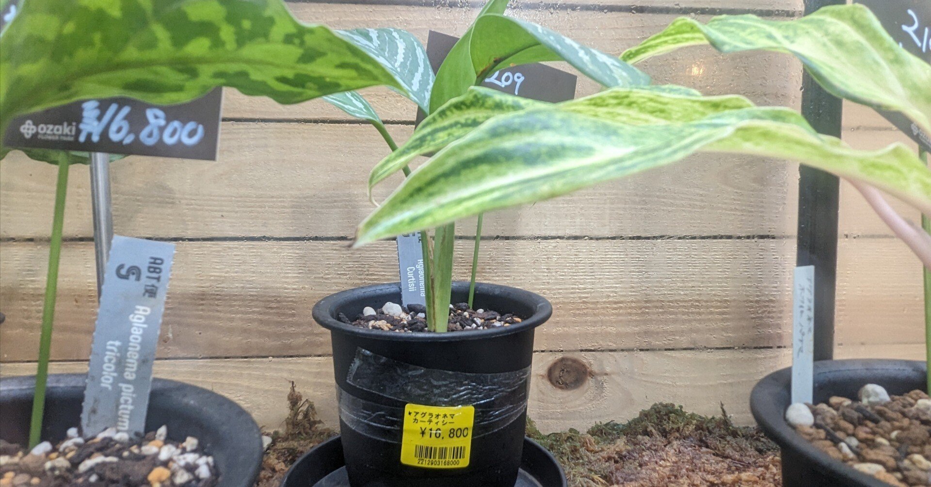 5fe58d3e518de6100b306af3d766a1