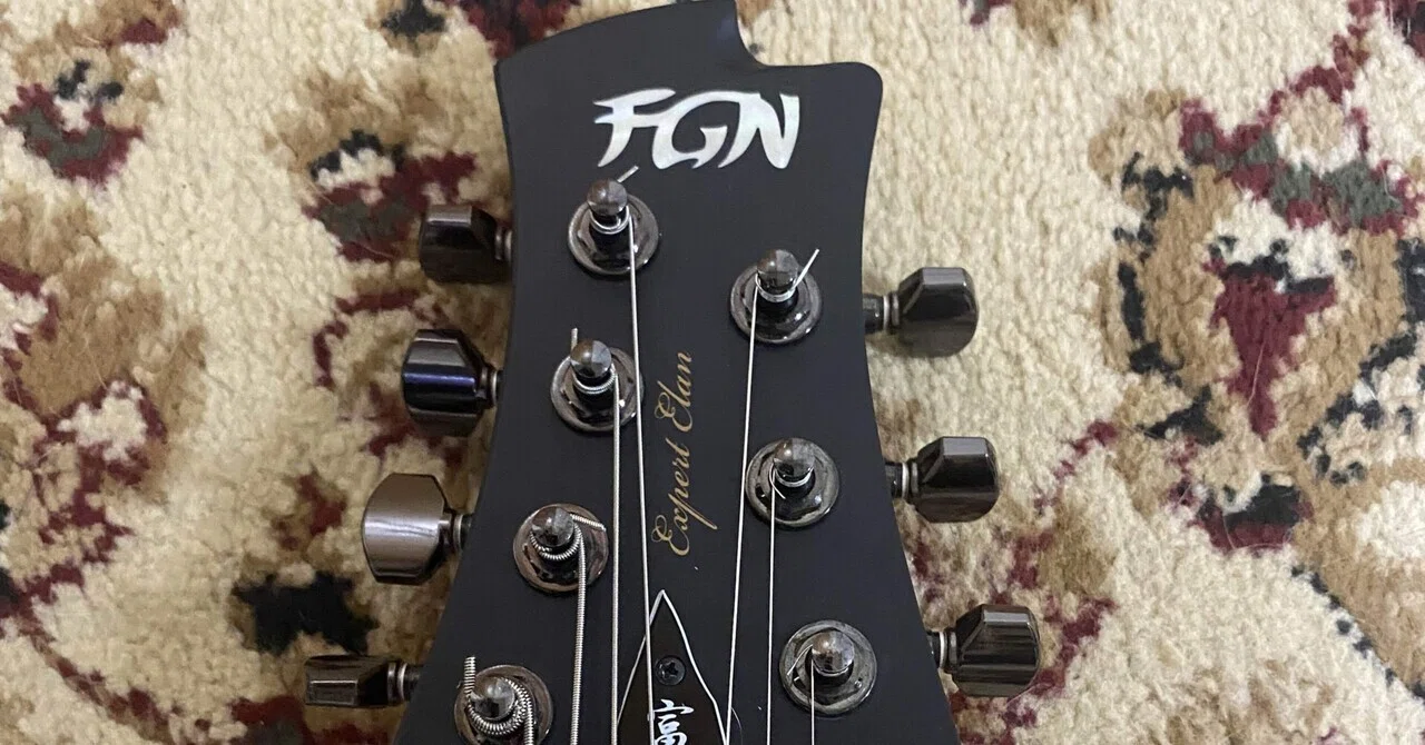FGN Expert ELAN EEL-DE/MBK EMG搭載 屋内使用のみ（Fujigen Elanを 