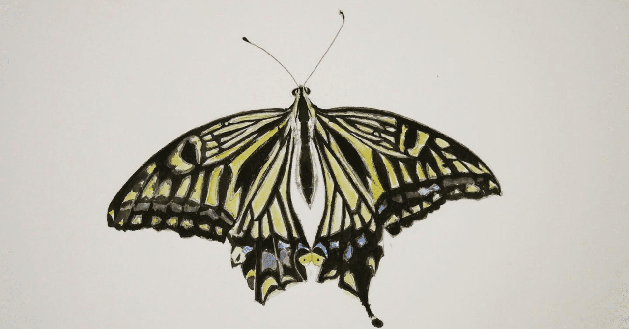 アゲハ蝶の写生｜a.keika